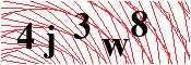 verify