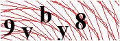 verify