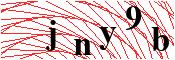 verify