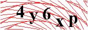 verify