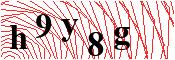 verify