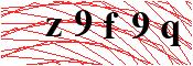 verify