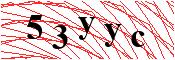 verify