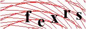 verify