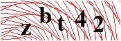 verify