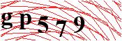 verify