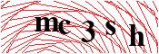 verify