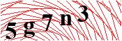 verify