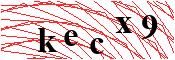 verify