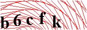 verify