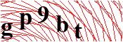 verify
