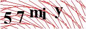 verify