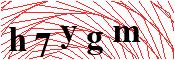 verify