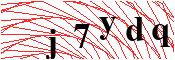 verify