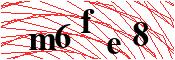 verify