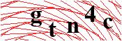 verify