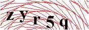 verify