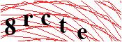 verify