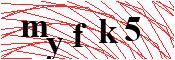 verify