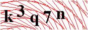 verify