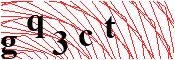 verify