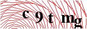 verify