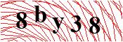 verify