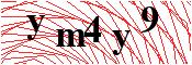 verify