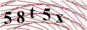 verify
