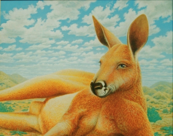 Mr Big Red Roo - Image