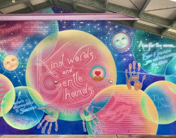 Terry Hills Primary School shed wall - Image
