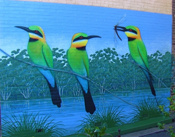 Rainbow Bee-Eaters mural, Croydon, Sydney 6 mtrs long - Image